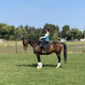 Meet your Posher, Erin